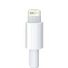 מטען חליפי לטאבלט Apple iPad Air,Air 2,Mini,Mini 2 With Retina Display