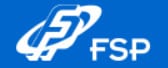 FSP Technology Inc