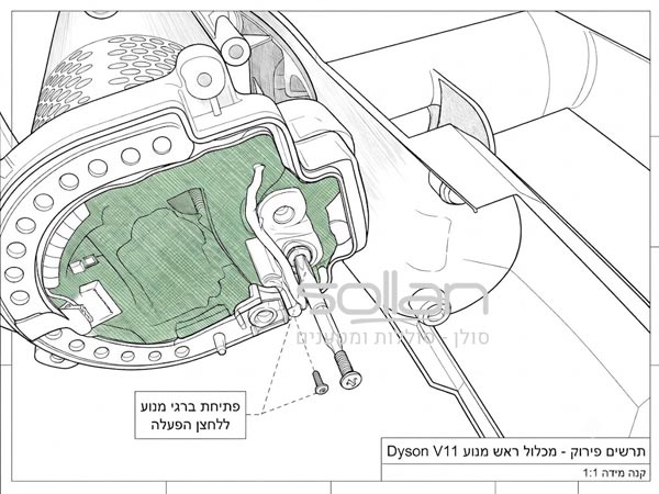 שלב 11