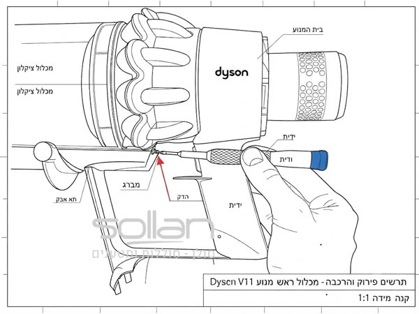שלב 6